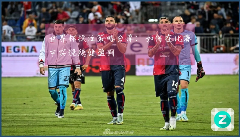 世界杯投注策略分享：如何在比赛中实现稳健盈利