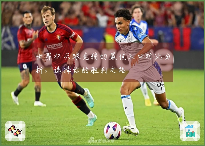 世界杯买球竞猜的最佳入口对比分析，选择你的胜利之路