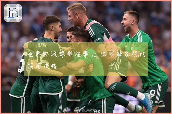 世界杯滚球那些事儿 你不能忽视的实用攻略