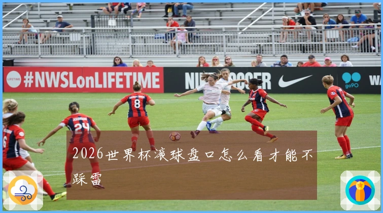 2026世界杯滚球盘口怎么看才能不踩雷